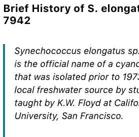 Syn7942 History